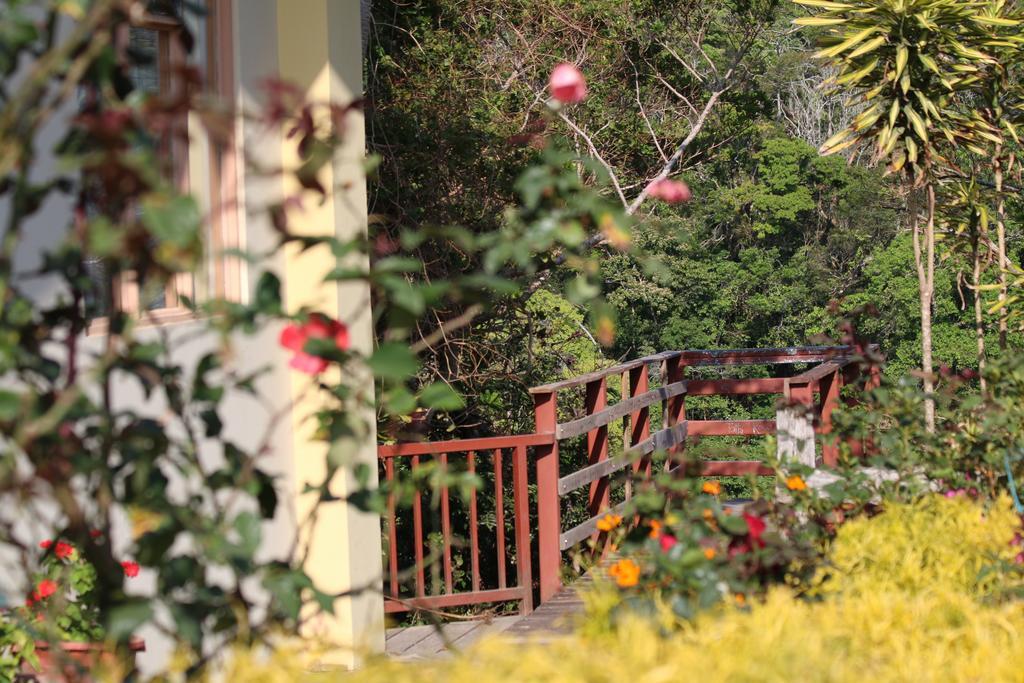 Hotel Las Orquideas Monteverde ภายนอก รูปภาพ